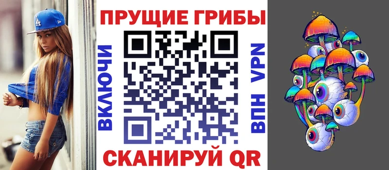Галлюциногенные грибы Psilocybe  Купить закладки  Олонец 
